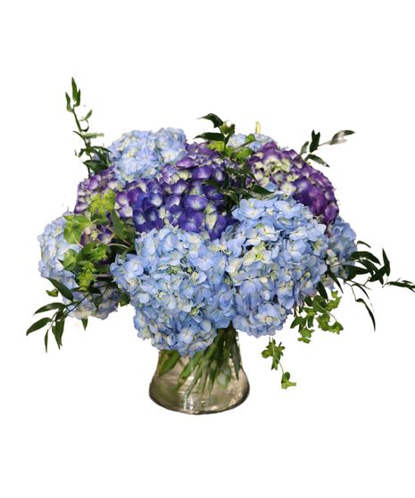 Purple & Blue Hydrangea