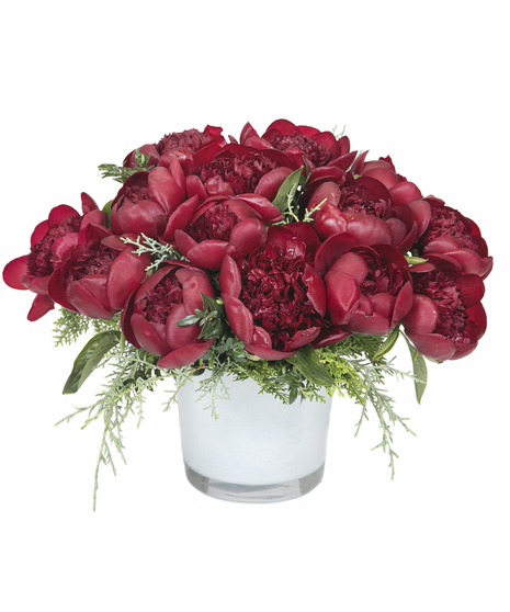 Radiant Red Peonies