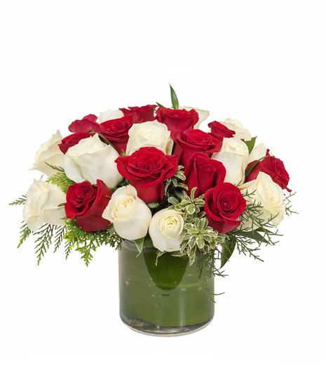 Red & White Roses