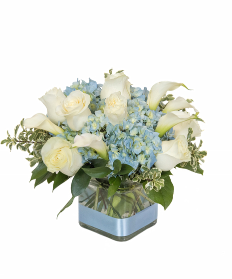 Welcome a special baby boy with this cube arrangement filled with hydrangea, sweet roses and dancing fancy greens. A perfect blue ribbon completes this arrangement!