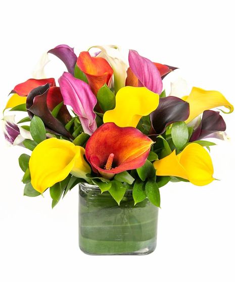 Calla Lily Vase in Boston, MA