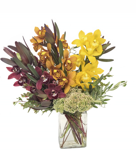 Boston Florist & Massachusetts Flower Shop - Central Square Florist