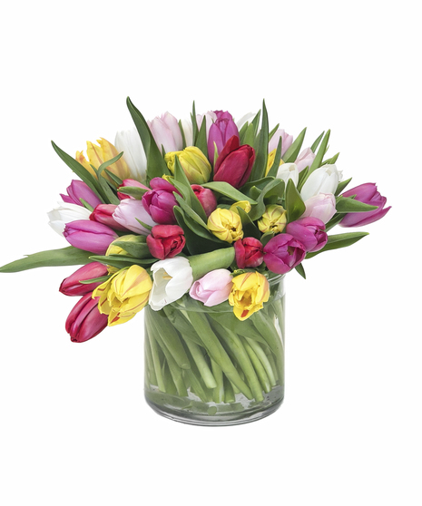 Enchanting Tulip Bouquet