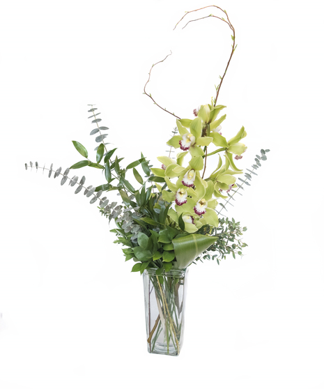 Cymbidium Orchid Vase 