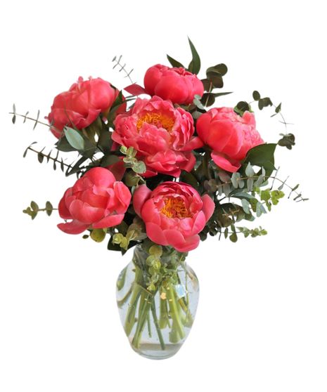 Coral Charm Peonies