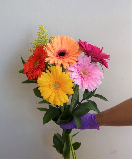 Gerbera Daisy Bunch