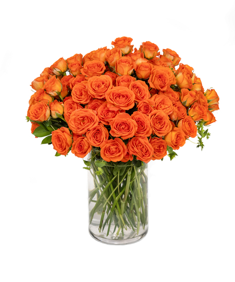 Orange Spray Roses