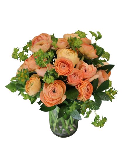 Peach Ranunculus