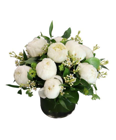 White Peonies