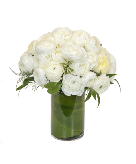 White Ranunculus