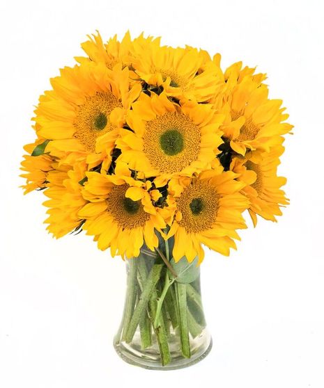 Endless Summer Sunflower Bouquet