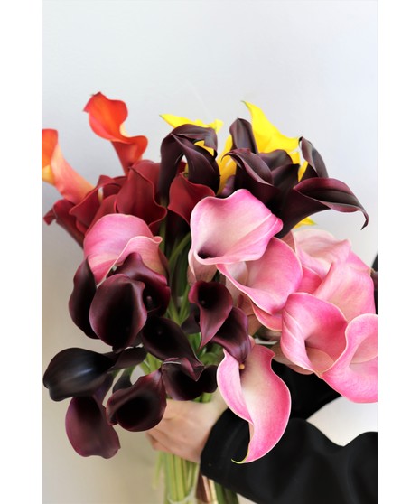 Long Stem Calla Lily Bunch