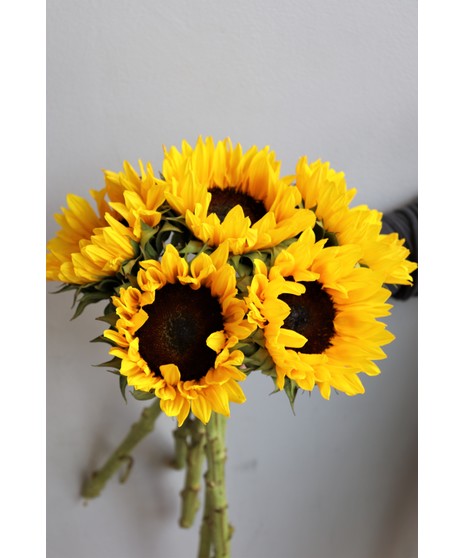 Sunflower Bunch