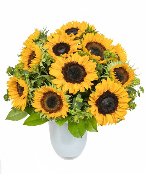 Sunflowers in White Glass Vase